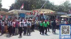 好消息！印尼雅加達(dá)港口罷工取消！