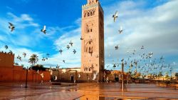 出口摩洛哥，哪些中國產品最受歡迎？