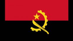 「安哥拉」安哥拉海運雙清關專線服務_安哥拉雙清關貨代